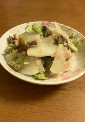 大根とちしゃのツナマリネ-レシピのメイン写真