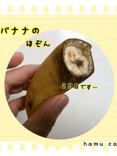離乳食にも!中途半端なバナナの保存法-レシピのメイン写真
