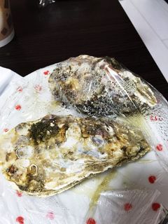 牡蠣-レシピのメイン写真