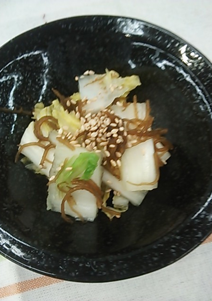 もずくと白菜の浅漬け-レシピのメイン写真