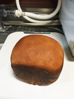 HBでノンオイル大豆粉パン-レシピのメイン写真