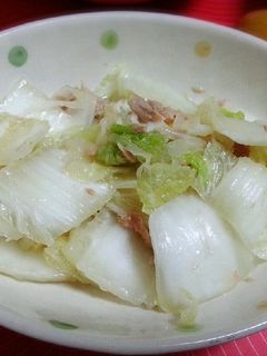 白菜サラダ-レシピのメイン写真