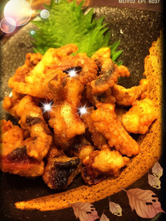 簡単自家製タコのから揚げ-レシピのメイン写真