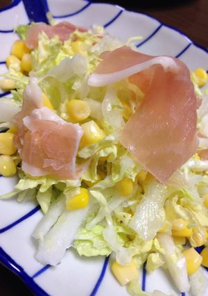 白菜のサラダ-レシピのメイン写真
