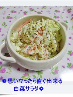 ❁思い立ったら直ぐ出来る白菜サラダ❁-レシピのメイン写真
