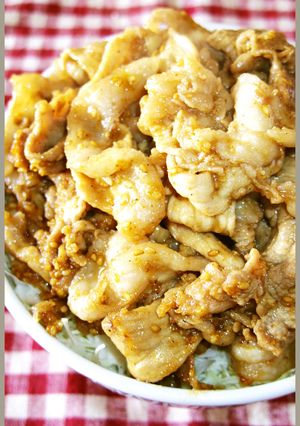 男のロマンだ！豚こま肉でうまいうまい豚丼-レシピのメイン写真