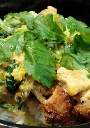 白ご飯がふっくら美味しい♪カツとじ丼-レシピのメイン写真