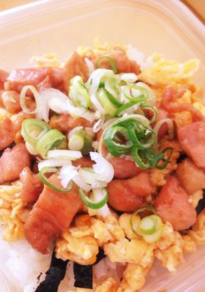 お弁当の鶏照り丼-レシピのメイン写真