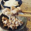 カイロで超お手軽☆手作り納豆