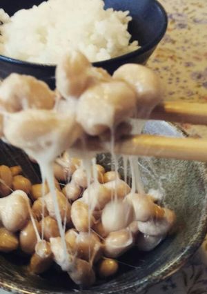 カイロで超お手軽☆手作り納豆-レシピのメイン写真