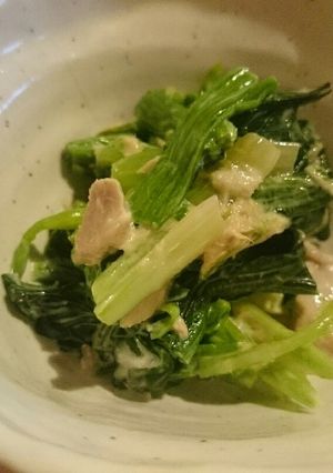 お弁当、副菜に！ほうれん草のツナマヨ和え-レシピのメイン写真