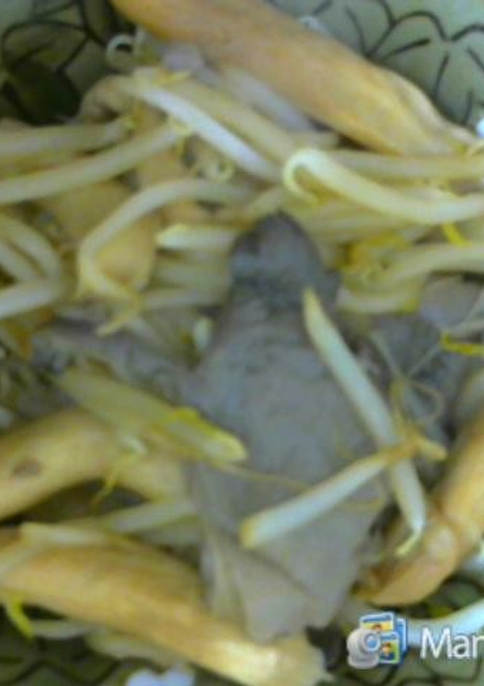 寒茸ともやしの醤油炒め-レシピのメイン写真