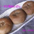 コーヒーきな粉あんぱん