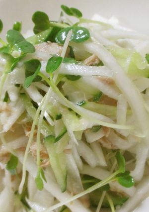 ☆大根とツナとカイワレのサラダ☆大量消費-レシピのメイン写真