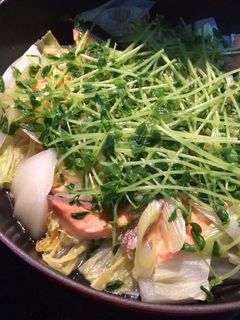 鮭と白菜の酒蒸し-レシピのメイン写真
