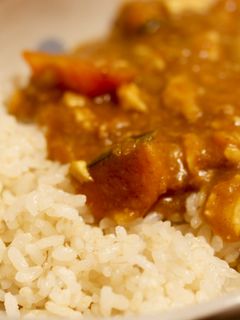 冬に食べたくなる◎大根おろしの和風カレー-レシピのメイン写真