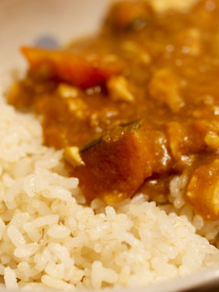 冬に食べたくなる◎大根おろしの和風カレー-レシピのメイン写真