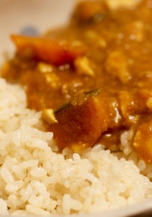 冬に食べたくなる◎大根おろしの和風カレー-レシピのメイン写真