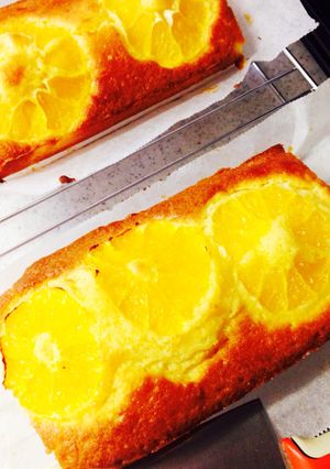 伊予柑のパウンドケーキ-レシピのメイン写真