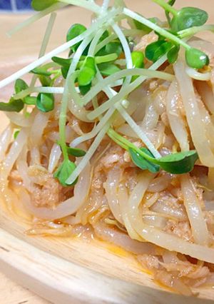 パパッと！もやしとツナのちょいピリ和え♪-レシピのメイン写真
