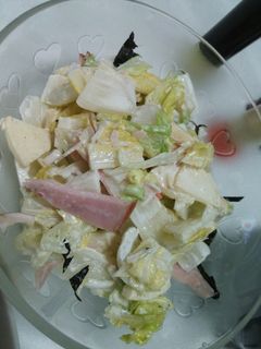 白菜とりんごのサラダ-レシピのメイン写真
