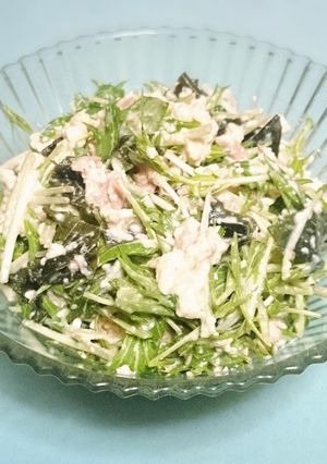 水菜と豆腐のサラダ-レシピのメイン写真