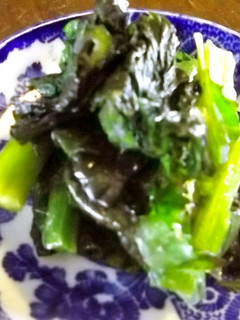 手作り☆高菜のお漬物-レシピのメイン写真