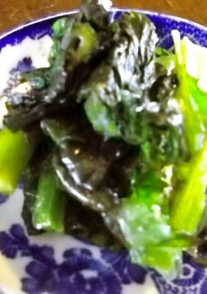 手作り☆高菜のお漬物-レシピのメイン写真