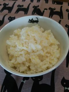 塩麹☆きびご飯♪-レシピのメイン写真