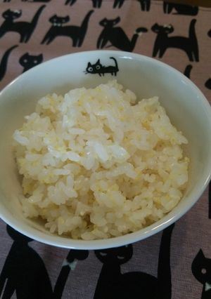 塩麹☆きびご飯♪-レシピのメイン写真