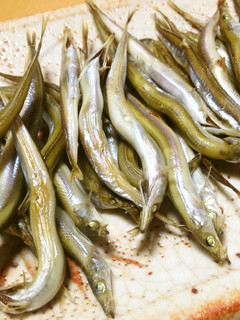 フルセ(イカナゴ)の炙り-レシピのメイン写真