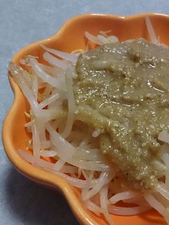 もやしサラダ*胡麻味噌ダレ*-レシピのメイン写真