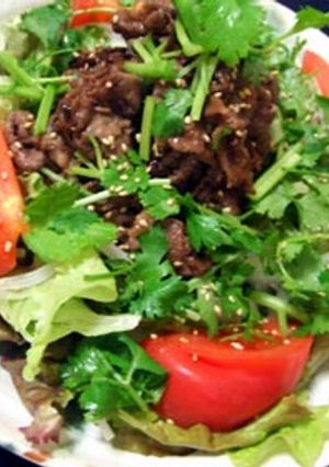 ナンプラーがたまらん♪タイ風焼肉サラダ-レシピのメイン写真
