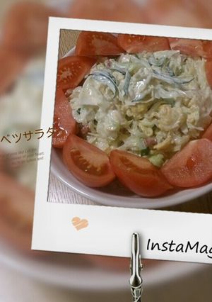春キャベツのサラダ-レシピのメイン写真