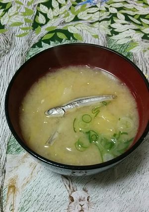 毎日食べたい小魚を煮干し味噌汁で！-レシピのメイン写真