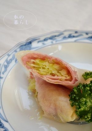 キャベツとハムの春巻き-レシピのメイン写真