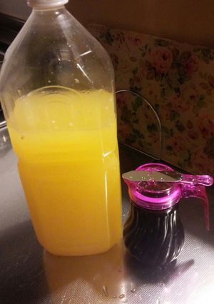 自家製だいだい酢とだいだいポン酢-レシピのメイン写真