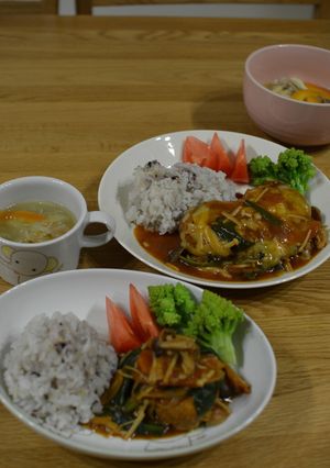 おからハンバーグ きのこデミソース-レシピのメイン写真
