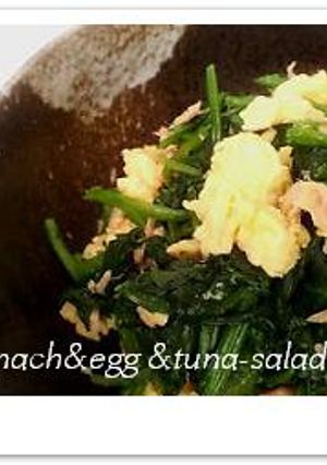 ほうれん草のサラダ-レシピのメイン写真