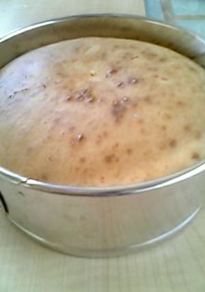 簡単★トウフのケーキ-レシピのメイン写真