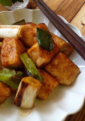 こってり*ご飯に合う!豆腐とネギの焼鳥風-レシピのメイン写真