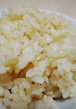 冷凍OK！かさ増しヘルシー糸こんごはん-レシピのメイン写真