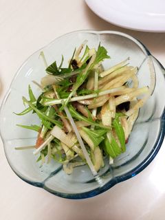 やみつき☆大根サラダ-レシピのメイン写真