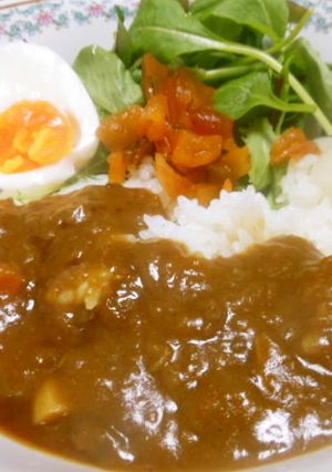 カレー丼 私流-レシピのメイン写真