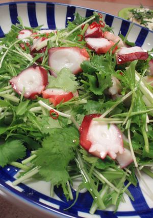～蛸と香菜のエスニックサラダ～-レシピのメイン写真