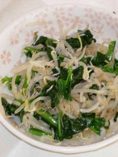 もやしとほうれん草の酢醤油和え-レシピのメイン写真