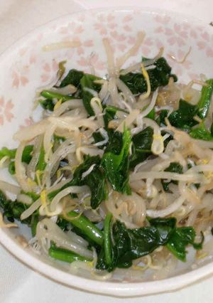 もやしとほうれん草の酢醤油和え-レシピのメイン写真