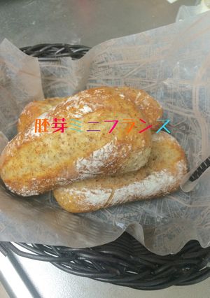 超簡単長時間発酵 胚芽ミニフランス-レシピのメイン写真