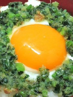 薬味たまご丼-レシピのメイン写真