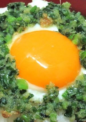 薬味たまご丼-レシピのメイン写真
